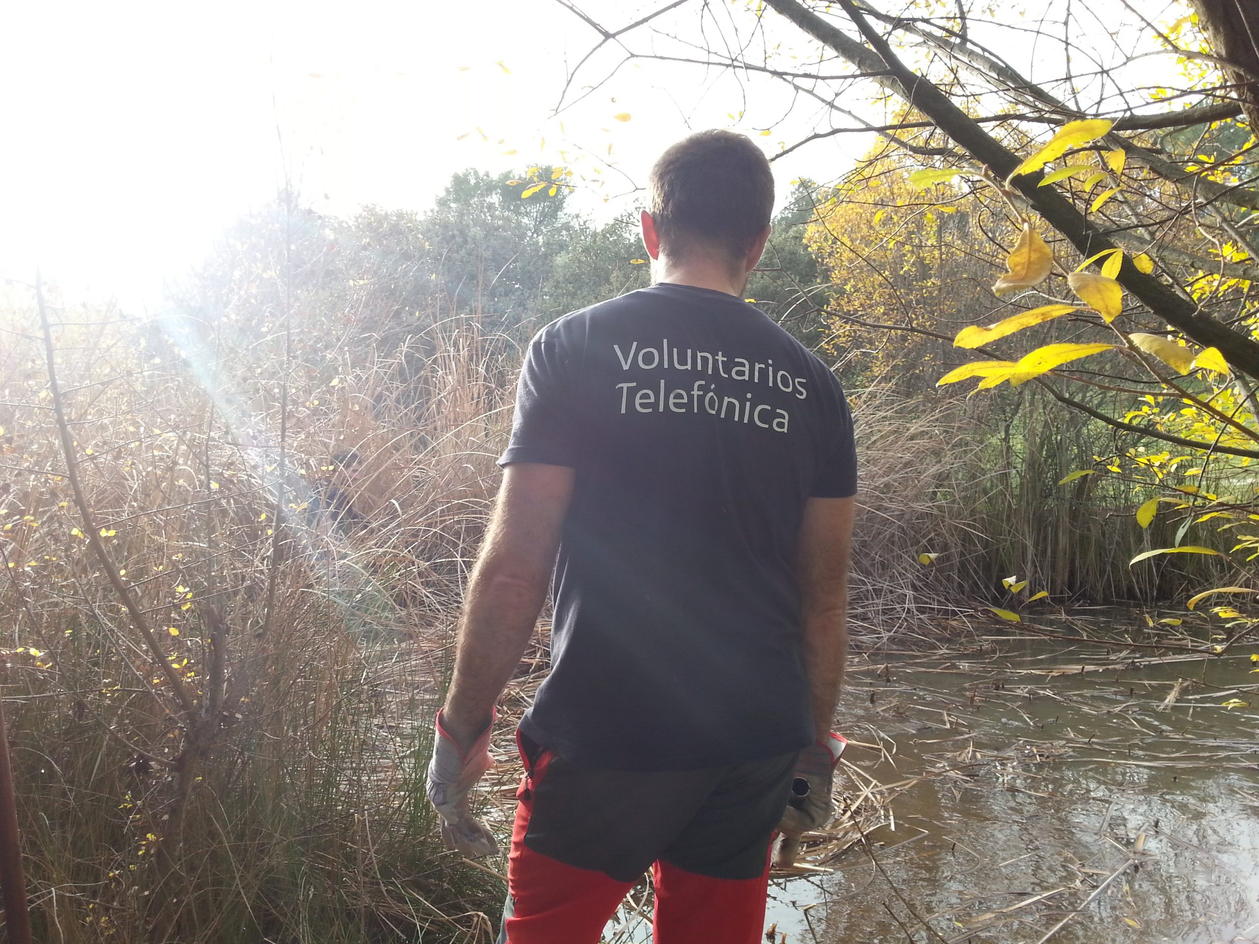 16654657352_de6d231e32_o