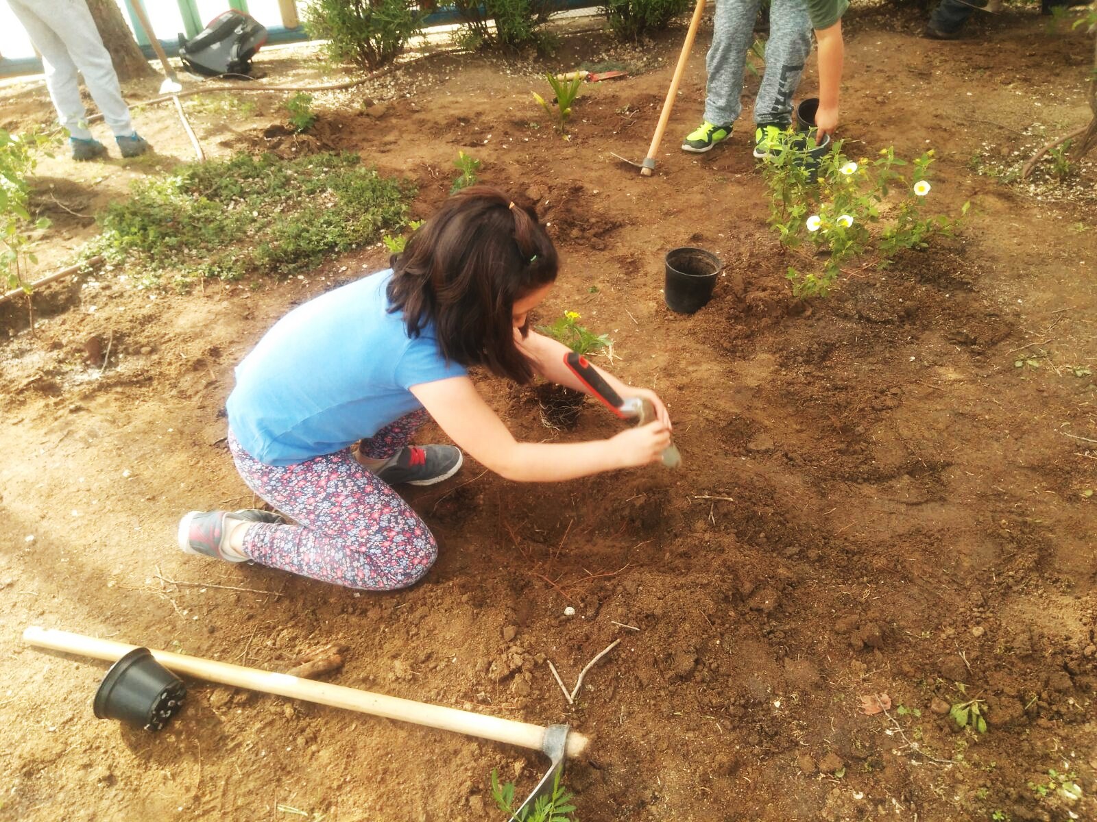 IMG-20170504-WA0005 (1)