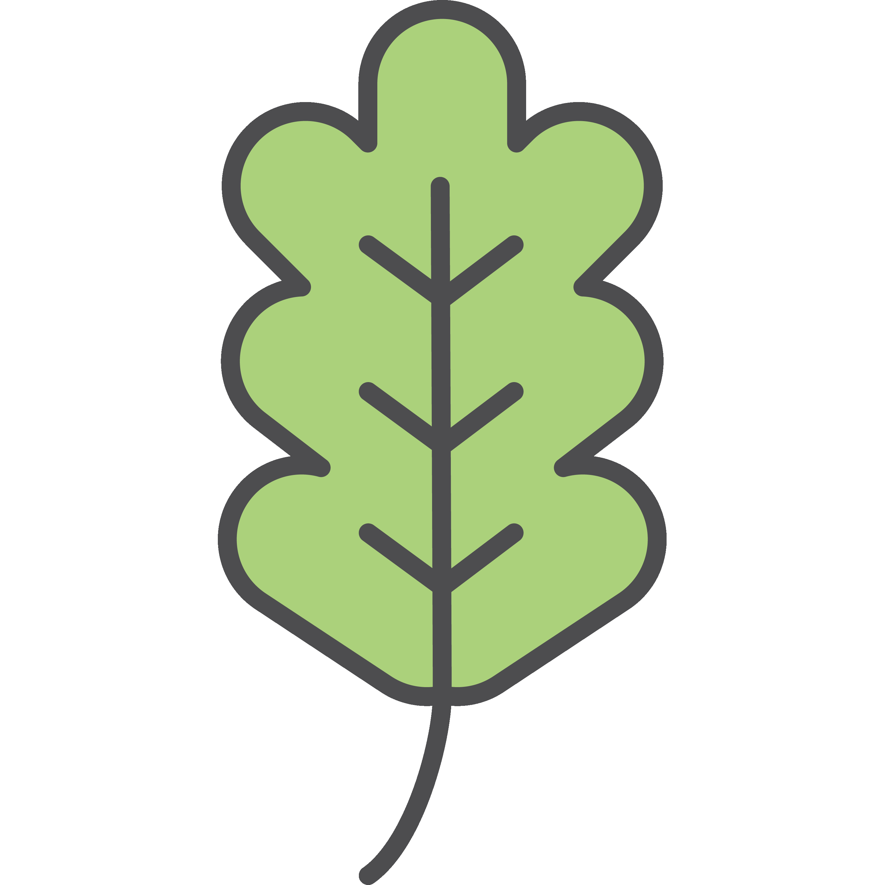 Derredor Proyectos de educación ambiental en la escuela y su entorno. Educación ambiental en el tiempo libre Gestión de centros de educación e información ambiental. Divulgación y comunicación ambiental